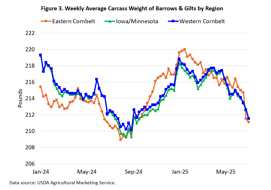 USDA reports provide clues on hog market currentness