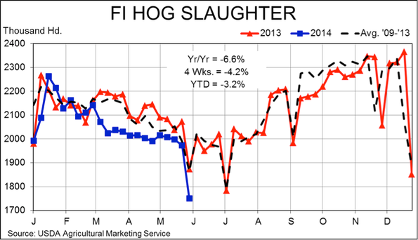 F1 Hog slaughter