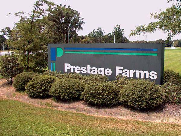 Seaboard Foods, Prestage Farms Respond to Animal Abuse Allegations