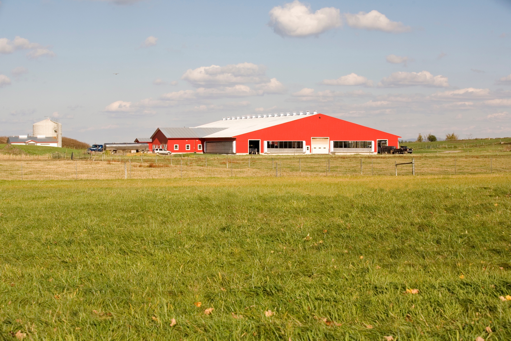 Don Schindler, Dairy Management Inc