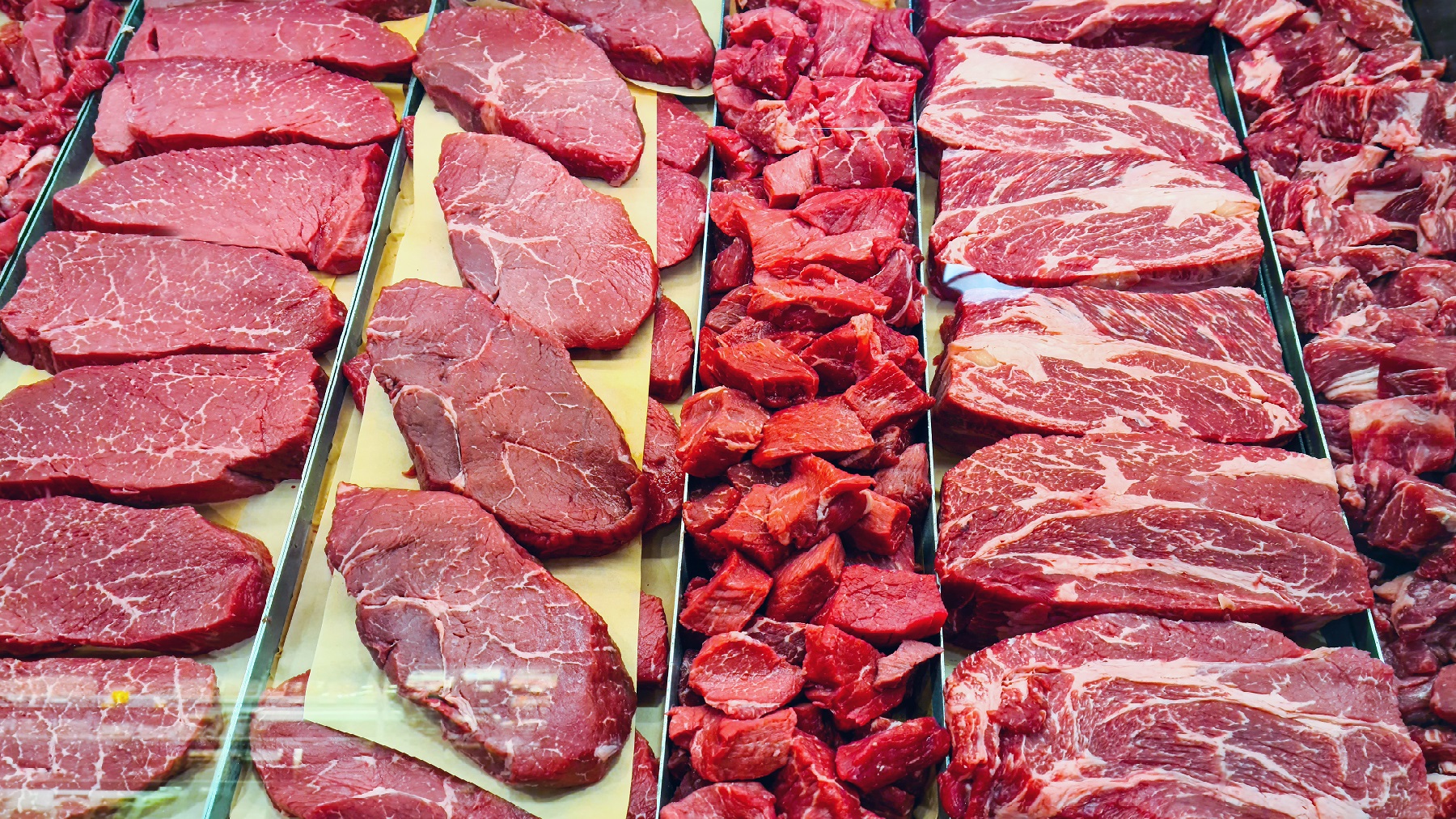 Farm Progress America, April 11, 2024