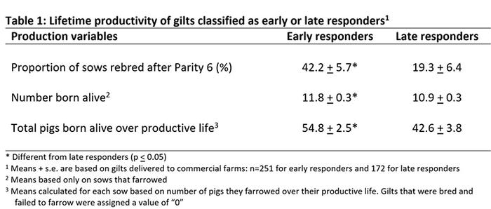  Lifetime productivity of gilts classified as early or late responders
