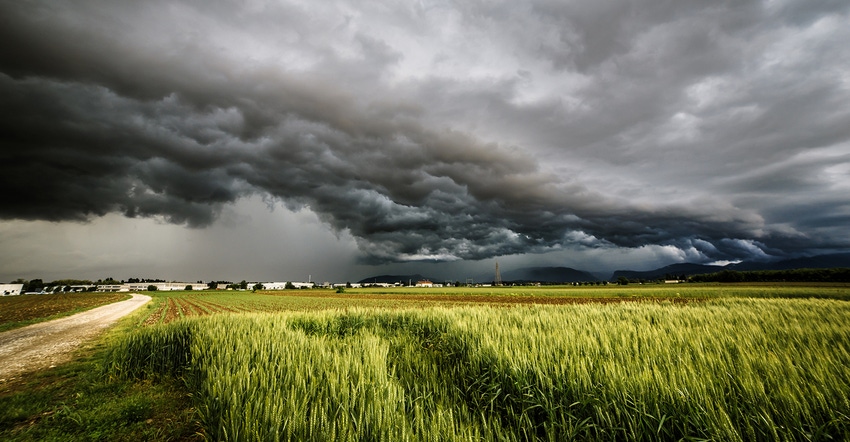 Storm clouds over a field