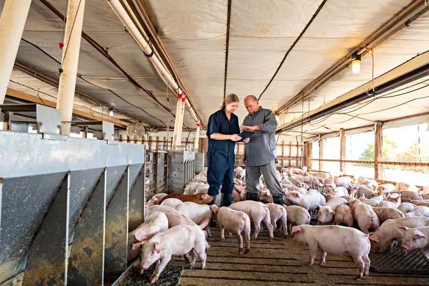 Real Pork – Brinkman and Vet Standing with Pigs.jpg Real Pork – Brinkman and Vet Standing with Pigs.jpg