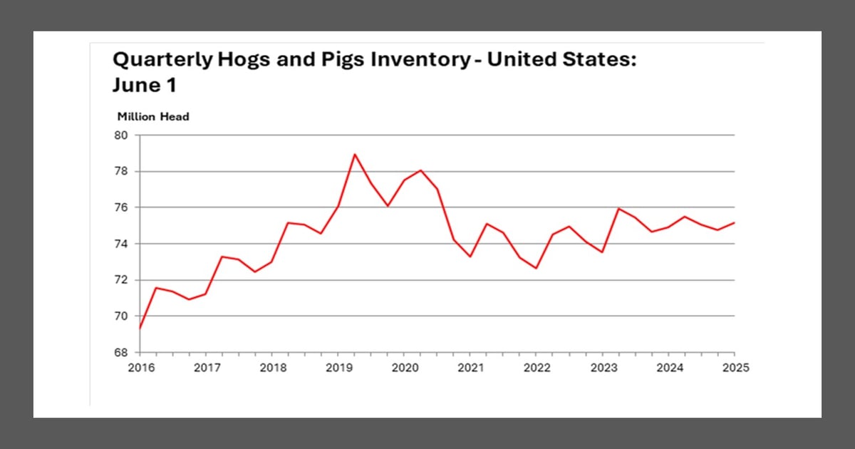 More 120-to-179-pounds than expected in June Hogs and Pigs Report