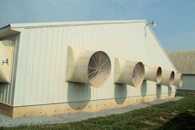 Air Filtration Offers Long-Term PRRS Protection
