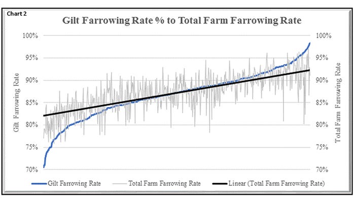 Chart 2: Gilt farrowing rate percent to total farm farrowing rate