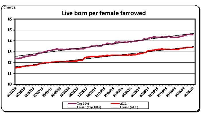  Live born per female farrowed