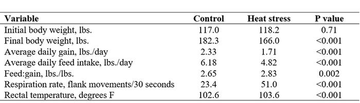 Table 1: Impact of heat stress on pig performance, respiration rate and rectal temperatures.