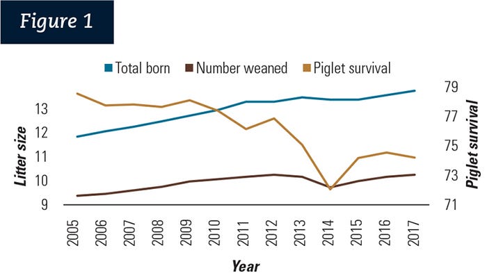  Changes in total number born, number weaned and piglet survival from 2005 to 2017.