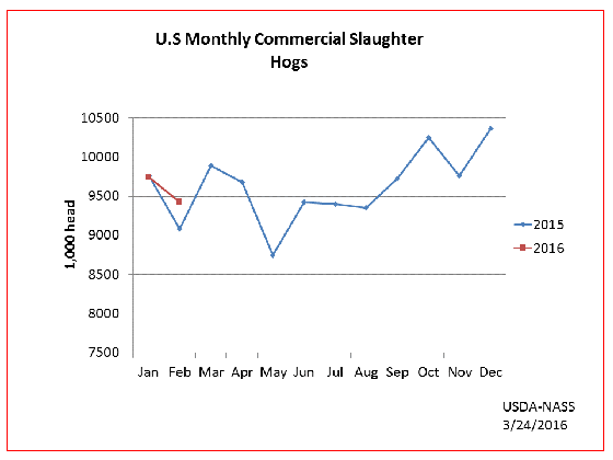 hogsmonthlyslaughter.gif