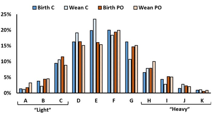 Figure 2: Distribution of piglets at birth and wean from sows fed diets supplemented, or not, with a phytogenic oil during lactation. Category “E” represents a minimal target wean weight (12.5 pounds) at 21 days of age.
