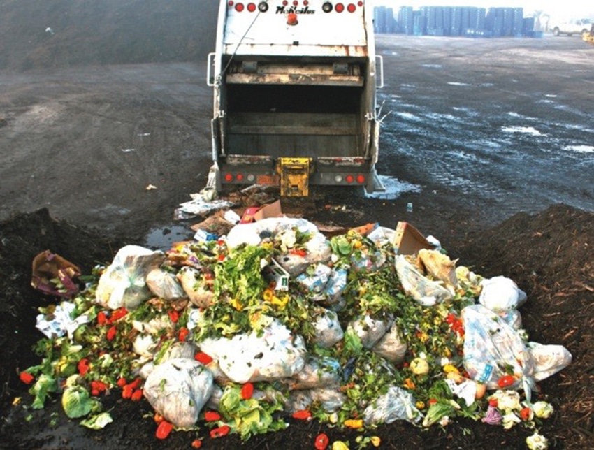 Recycled food waste in pig diets can reduce environmental footprint