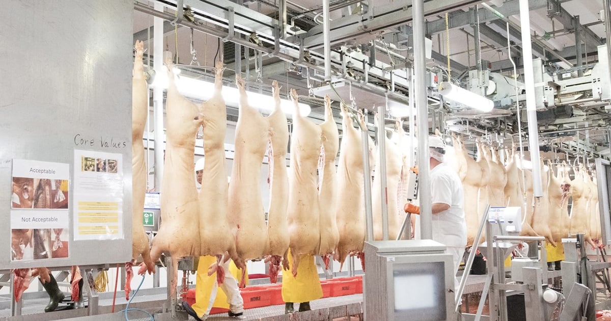 USDA trims pork production estimates for 2026 and 2027
