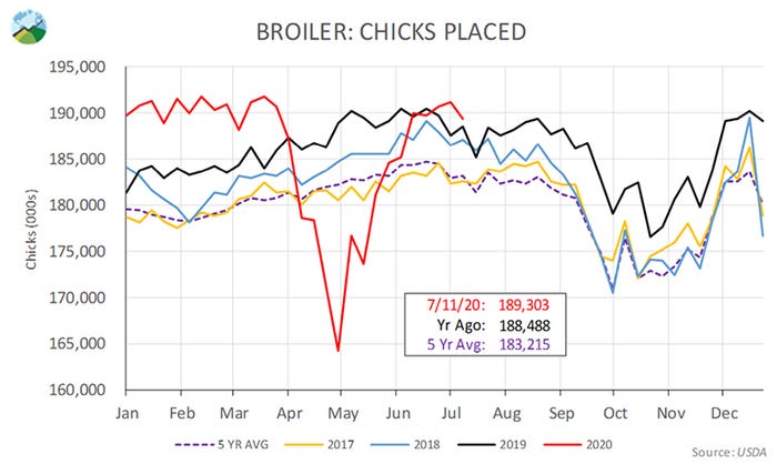  Broiler chicks placed