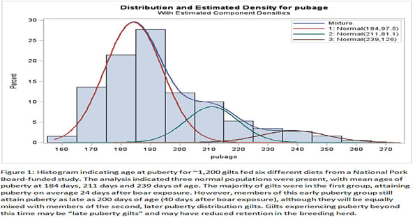 Growth and nutrition effects on gilt development