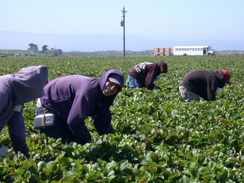 farm worker migrant labor immigration FDS NHF.jpg
