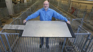 Purdue technology finds new way to keep pigs cool