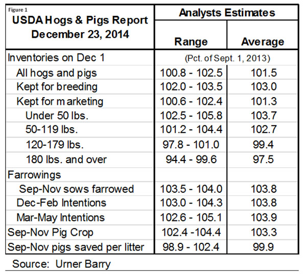 Prereport survey confirms most are expecting growth in hog numbers in