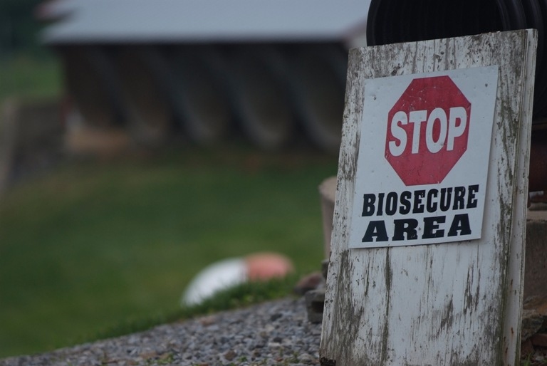 Biosecurity at your hands: Measure risks to control losses