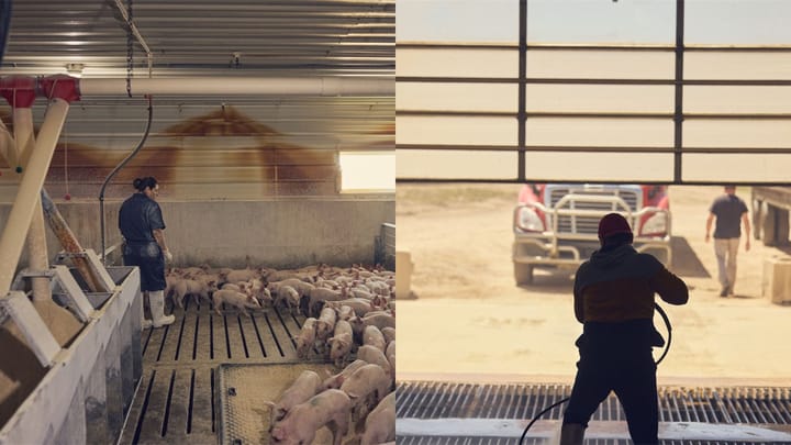 NPB Reicks Farms Collage