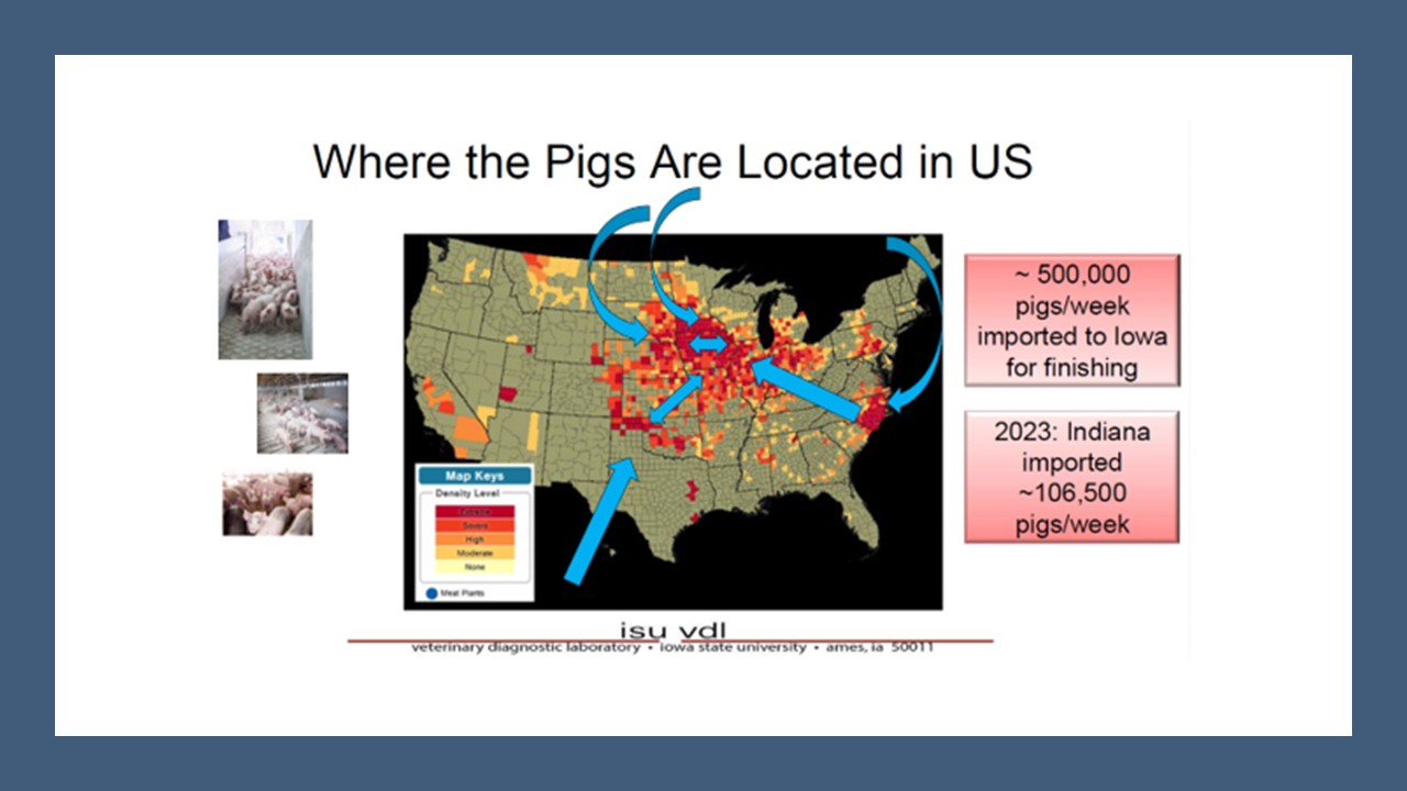 Keeping pace with current and evolving swine disease threats