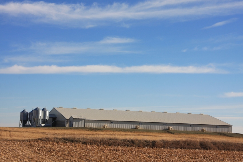 swine barn in Iowa in autumn_DarcyMaulsby_iStock_Thinkstock-464580998.jpg