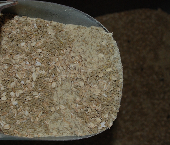 Study Carbohydrate composition in cereal coproducts important to