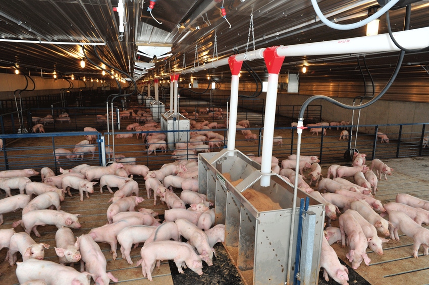 Biosecurity takes many hands to be effective Biosecurity takes many hands to be effective