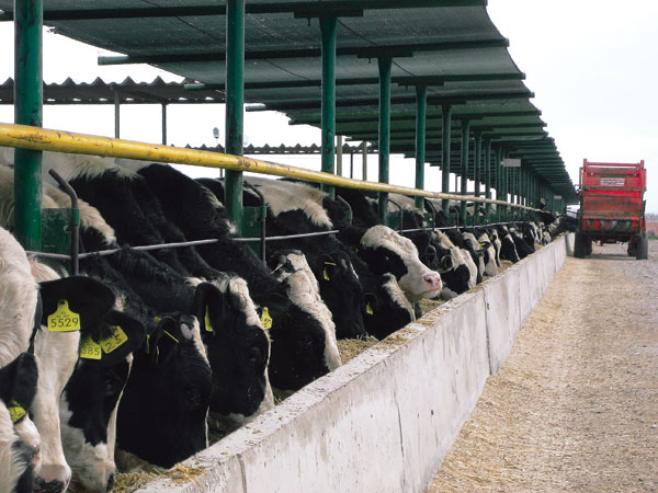 USDA Confirms Discovery of Atypical BSE Case