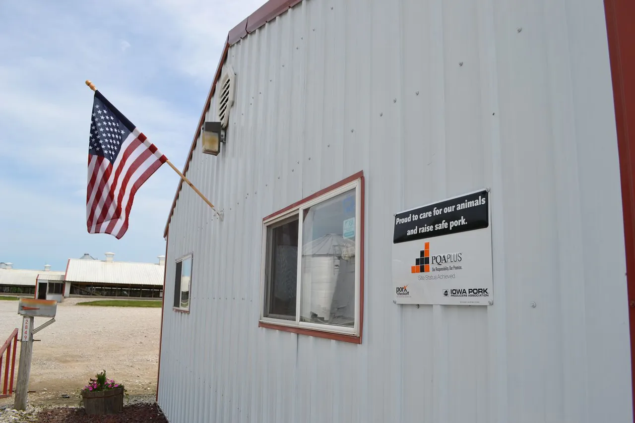 Reynolds signs Iowa Farm Act into law nhf npb iowa pig barn