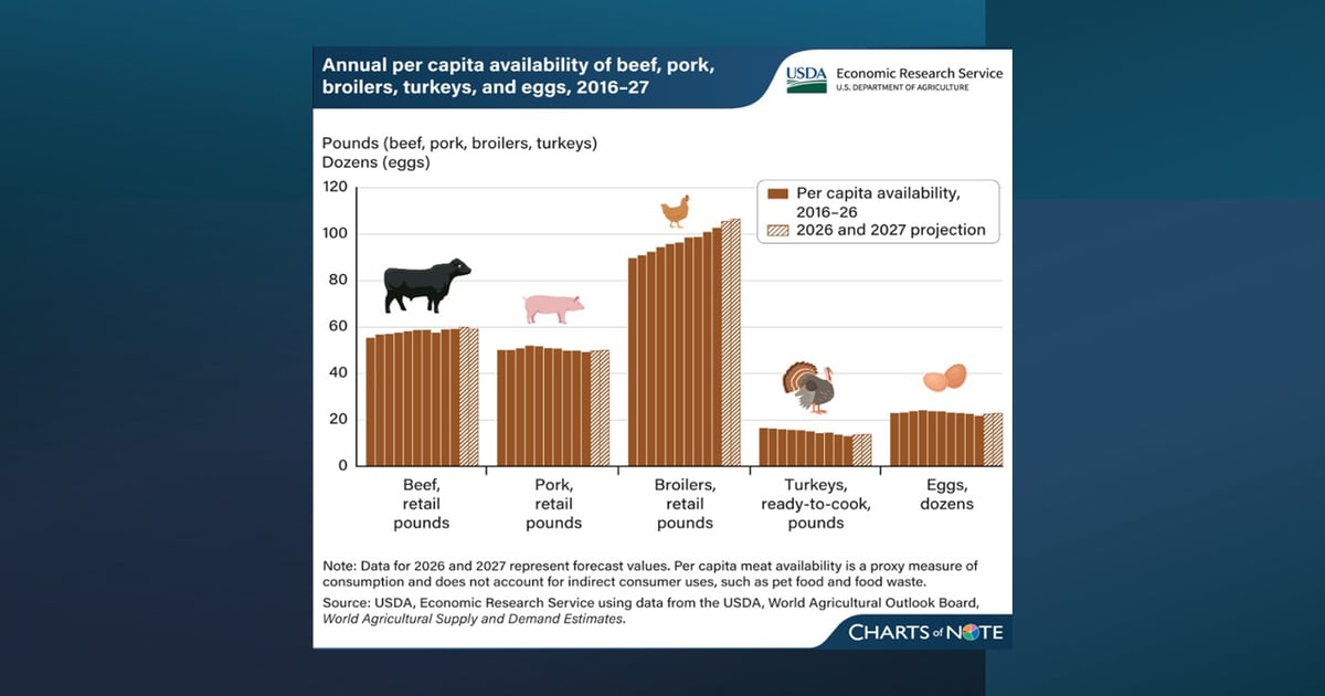 U.S. meat and egg availability to rise through 2027