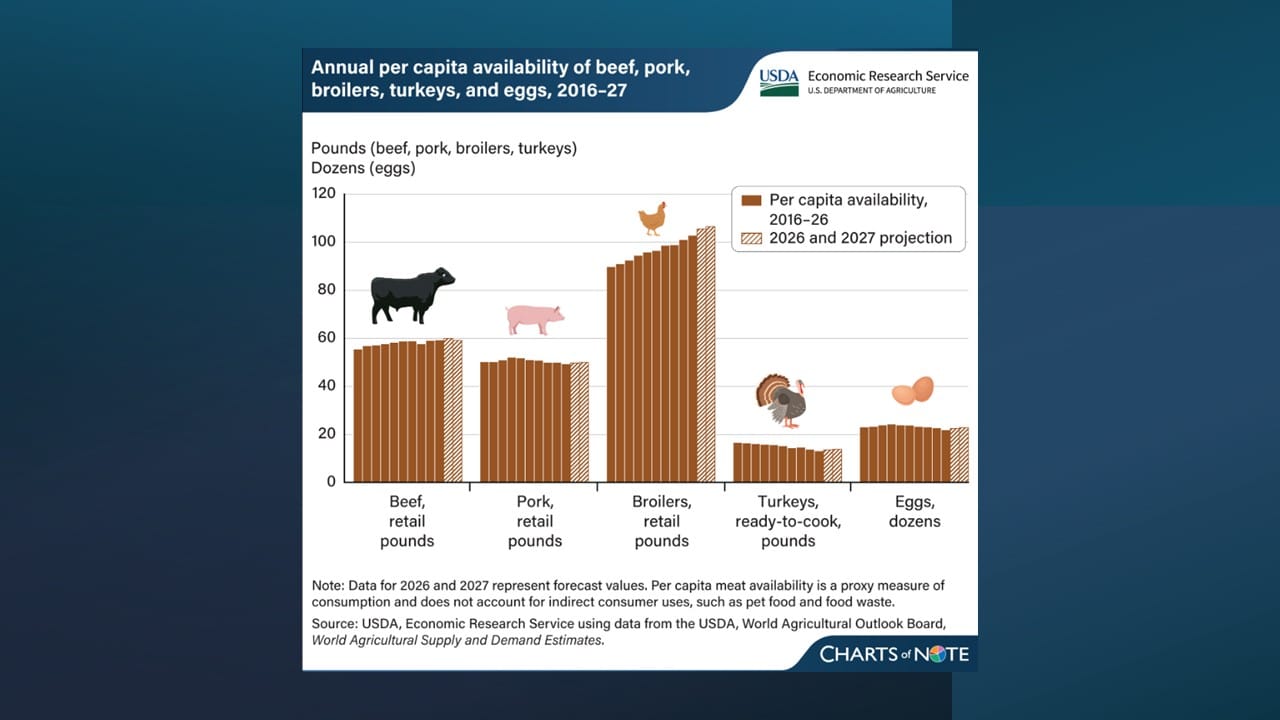 U.S. meat and egg availability to rise through 2027 USDA ERS Meat Availability