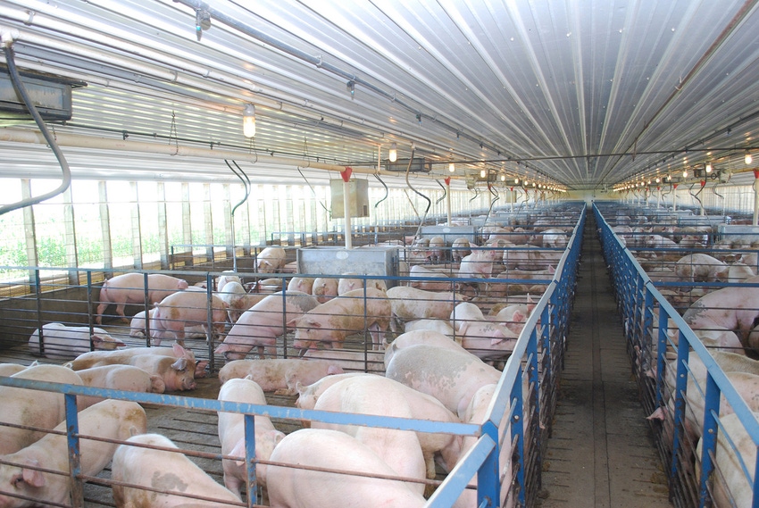 Secure pork supply plan prepares for FAD what-ifs