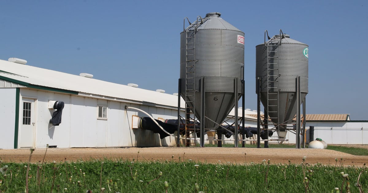 Importance, effectiveness and cost of sow farm filtration