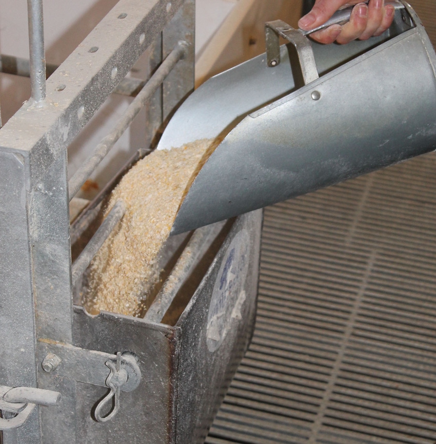 Grain particle size analysis recommendations updated by K-State