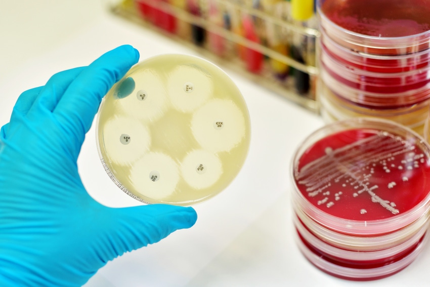 Report shows antimicrobial resistance still high in Europe
