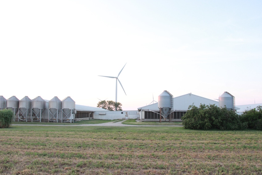 Hog farm barns pigs FDS operation.JPG Hog farm barns pigs FDS operation.JPG