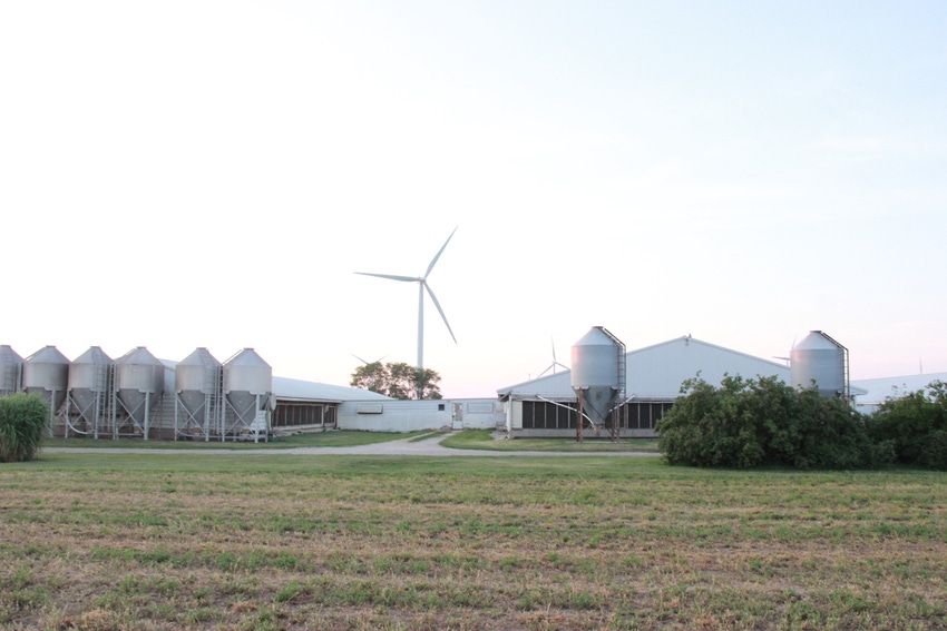 Hog farm barns pigs FDS operation.JPG