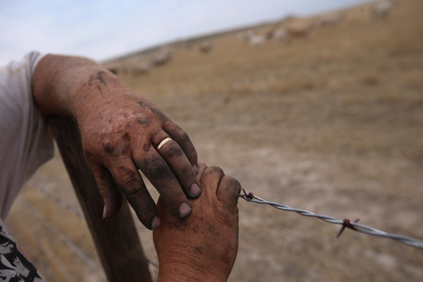 Why do we romanticize farming? Why do we romanticize farming?