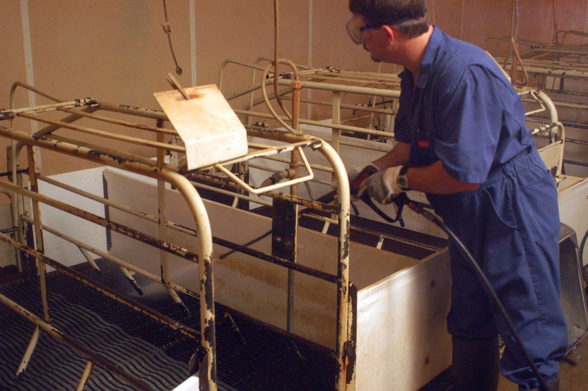Loss of foreign workers damaging to America's pig farmers Loss of foreign workers damaging to America's pig farmers