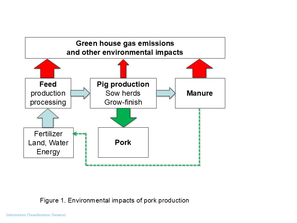 Genetic advancements play key role in reducing pork production's carbon ...