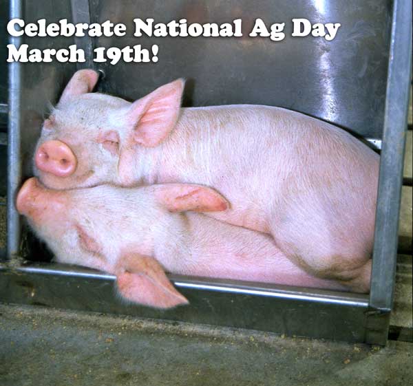 Pork Producers Support National Ag Day March 19