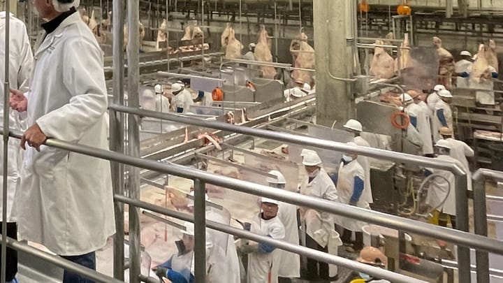meat processing USDA