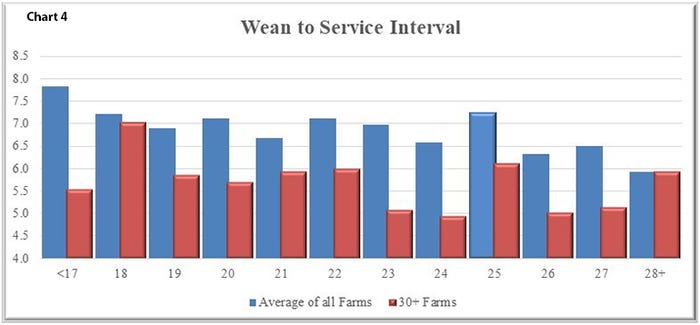 Wean to service interval is one area to be affected by weaning age as shown in Chart 4