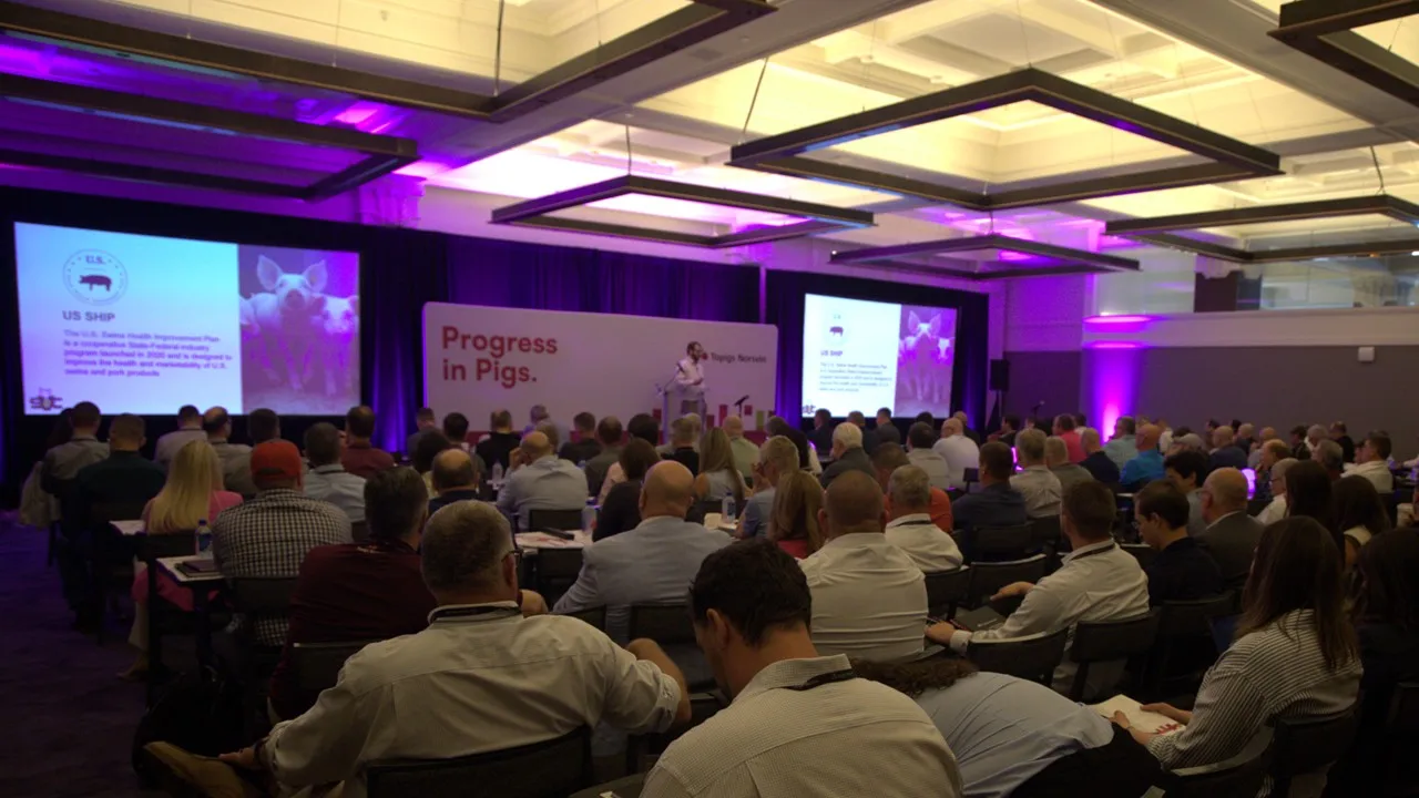 Topigs Norsvin unveils new genetic solution R3silience Topigs North America Pork 2026