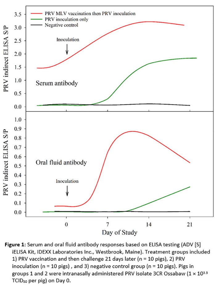 Figure 1: Serum and oral fluid antibody responses based on ELISA testing.