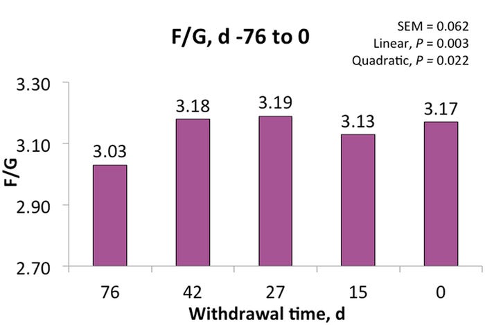 Figure 3: Effect of increasing DDGS withdrawal duration on feed efficiency of finishing pigs.