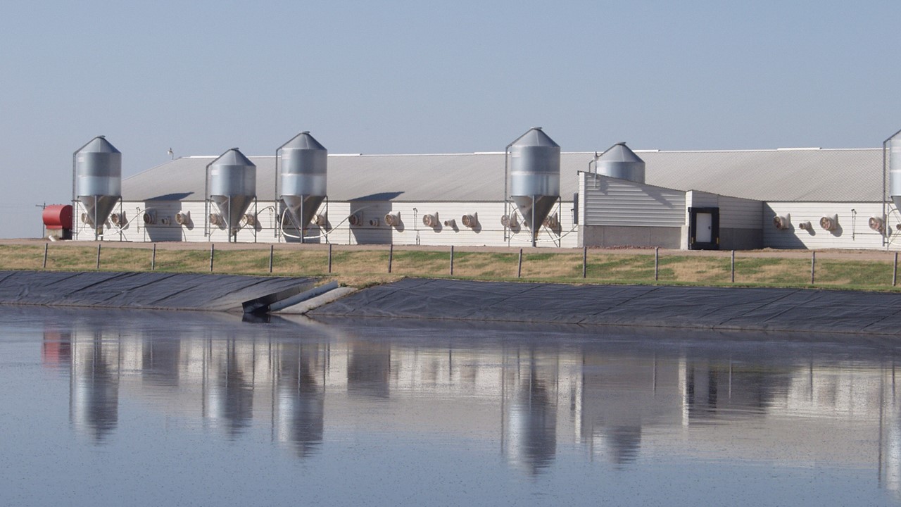 Pork producers applaud Ninth Circuit decision on CAFO rules