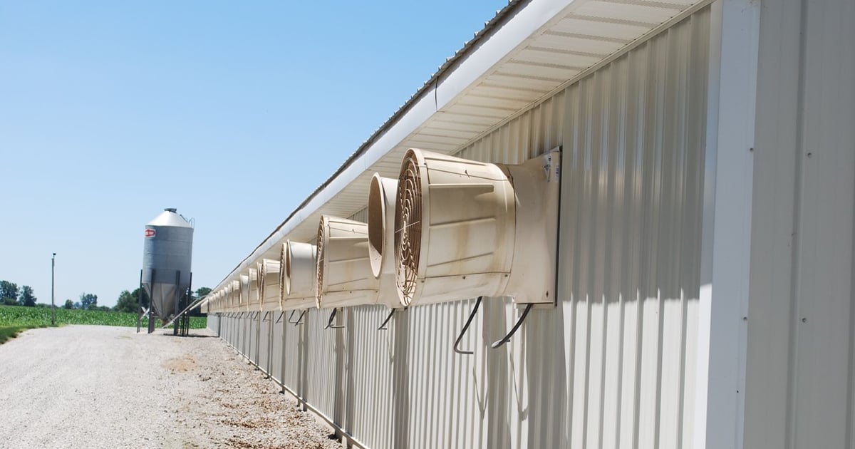 Farm Building Ventilated Ridge Seven strategies to address ventilation challenges